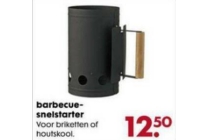 barbecue snelstarter