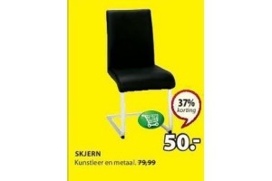 skjern