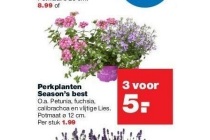 perkplanten season s best