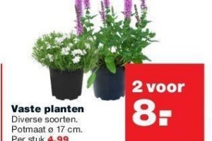 vaste planten