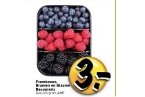 frambozen bramen en blauwe bessenmix