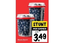 blauwe bessen