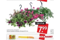 hanging basket