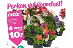 perkplanten