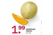 cantaloupe meloen