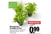 biologische kruiden in pot nu eur0 99 per stuk