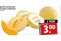 grote cantaloupe of galia meloenen nu 2 voor eur3 00