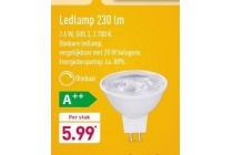 ledlamp 230 lm