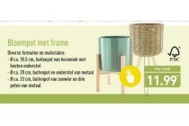 bloempot met frame