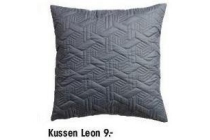 kussen leon nu eur9 per stuk