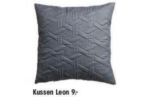 kussen leon nu eur9 per stuk