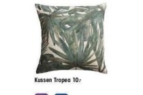 kussen tropea nu eur10 per stuk