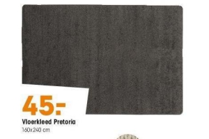 vloerkleed pretoria nu eur45 per stuk