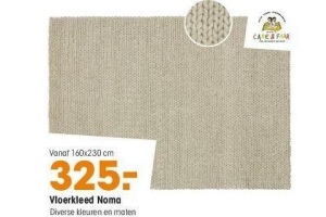 Perth uitroepen hoeveelheid verkoop Vloerkleed Noma nu €325 per stuk - Beste.nl