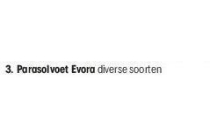 parasolvoet evora nu eur25 per stuk