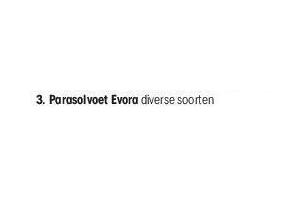 parasolvoet evora nu eur25 per stuk