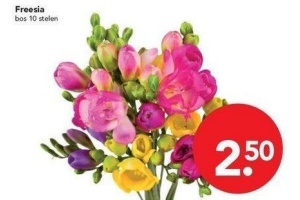 freesia nu eur2 50 per stuk