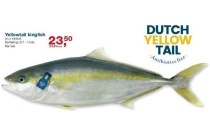yellowtail kingfish