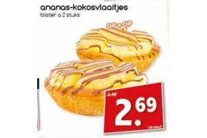 ananas kokosvlaaitjes