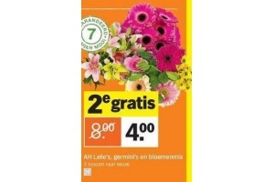 ah lelies germini s en bloemenmix