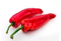 hollandse zoete puntpaprika s