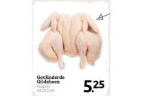 gevlinderde gildehoen