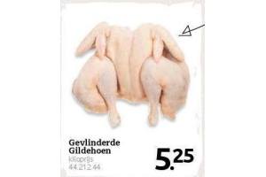 gevlinderde gildehoen