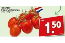 hollandse tros pruimtomaten