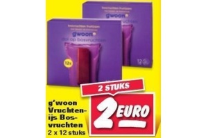 g woon vruchtenijs bosvruchten