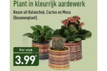 plant in kleurrijk aardewerk