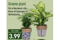 groene plant