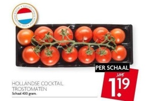 hollandse cocktail trostomaten