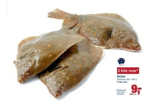 schol