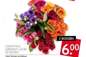 lisianthus germini s lelies of rozen voor eur6 00