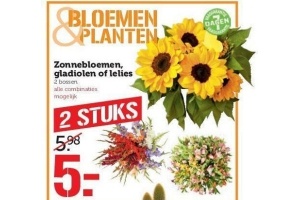 zonnebloemen glaiolen of lelies