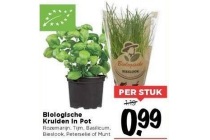 biologische kruiden in pot