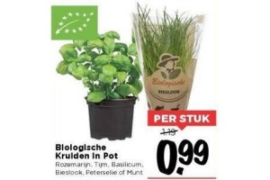 biologische kruiden in pot