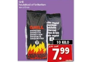 grill houtskool of briketten