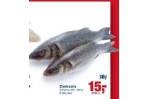 zeebaars