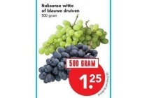 italiaanse witte of blauwe druiven