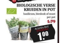 biologische verse kruiden in pot