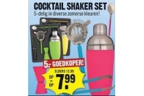 cocktail shaker set