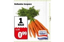 hollandse bospeen