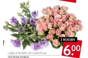 labelle rozen of lisianthus