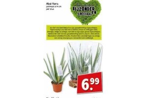 aloe vera nu eur6 99 per stuk