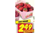 hollandse aardbeien