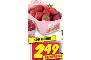 hollandse aardbeien