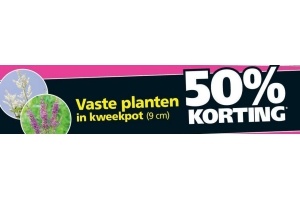 vaste planten in kweekpot nu 50 korting