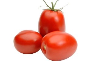 roma tomaten