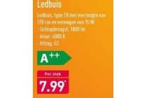 ledbuis 120 cm
